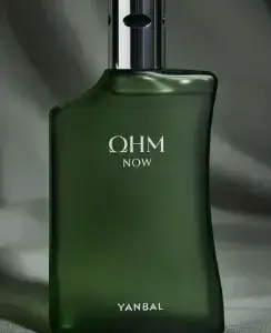 OHM NOW